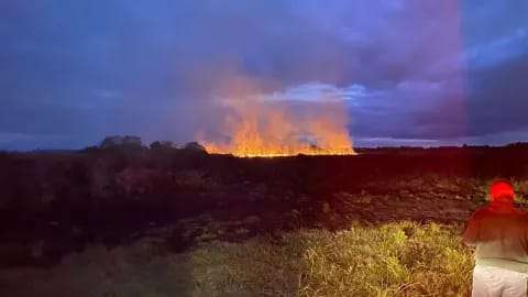 Voraz incendio en Ruta 12 arrasó 20 hectáreas y amenazó las casas cercanas